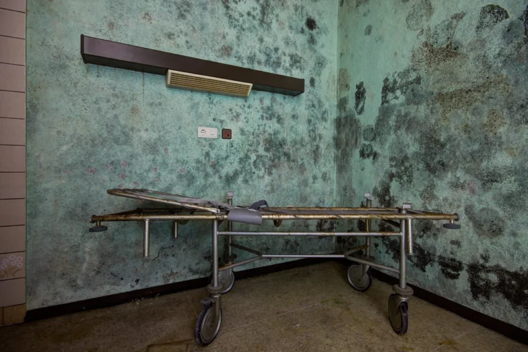 10-warning-signs-of-mold-toxicity