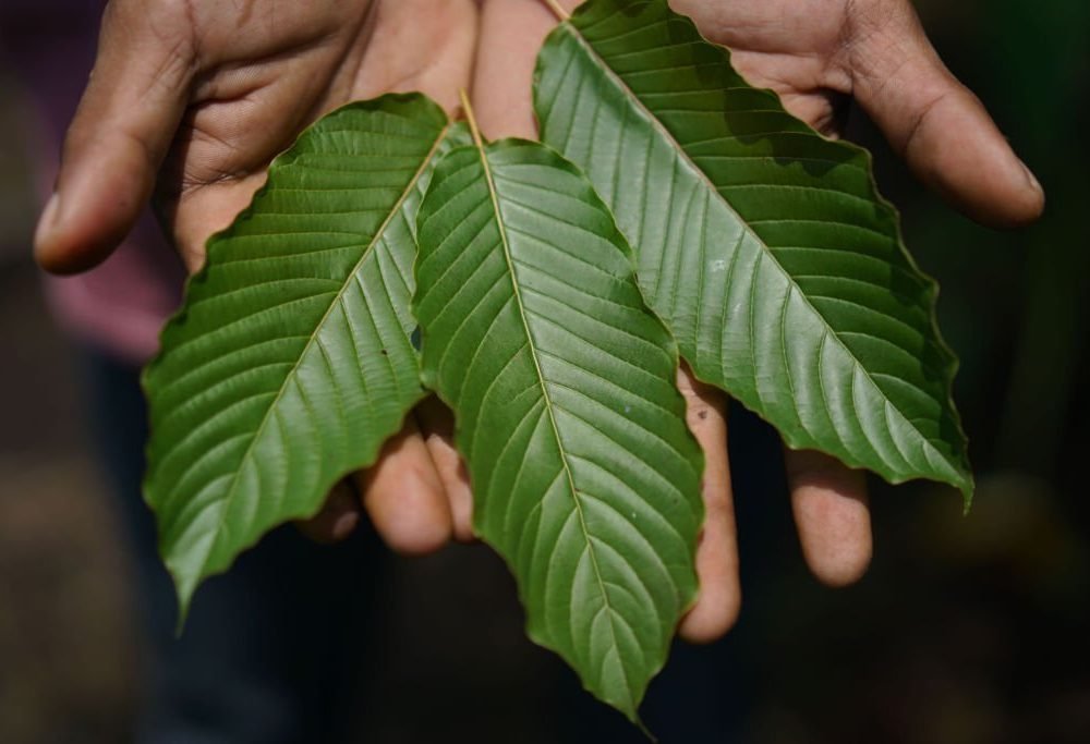 Does Kratom Show Up On Drug Test?