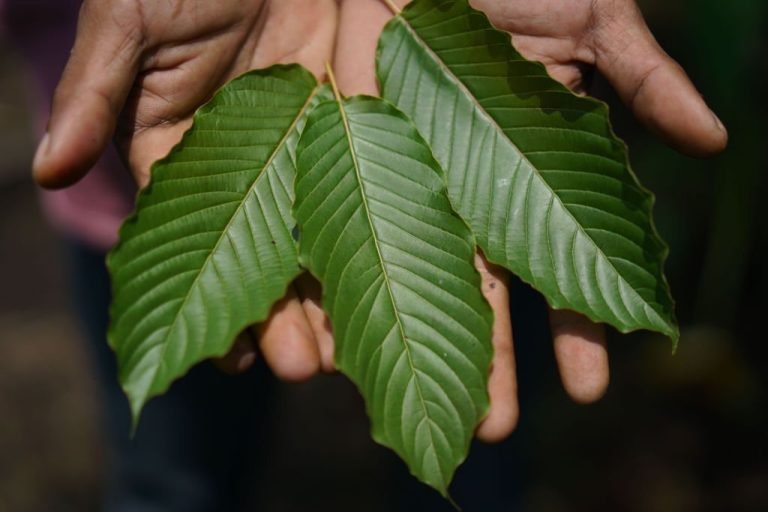 does kratom show up on drug test