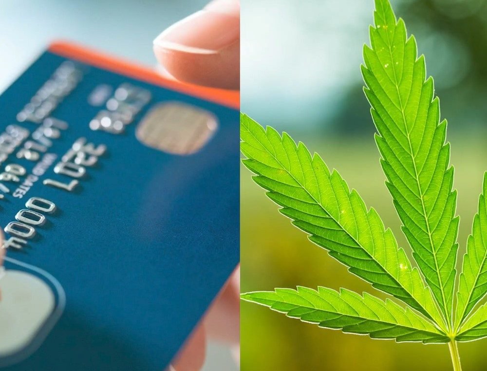 Why You Should Consider Getting A Medical Marijuana Card in Michigan?